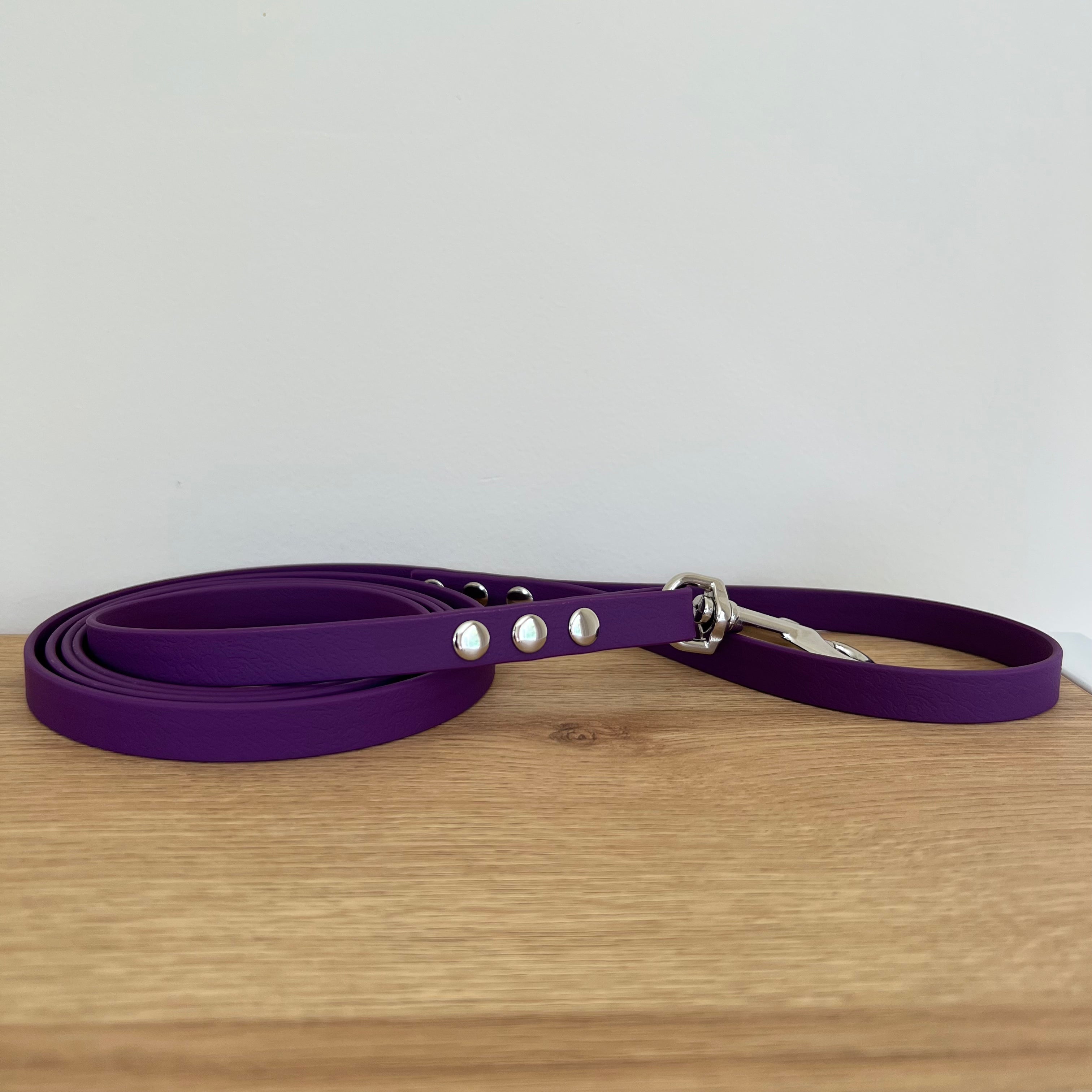 6ft Clip Leash | 13mm Width